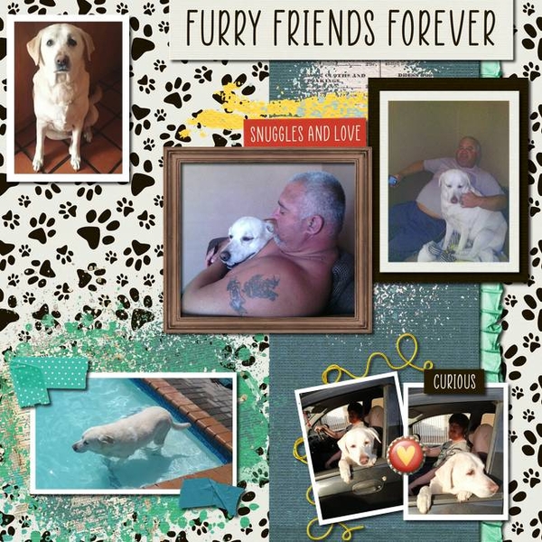 Furry Friends Forever