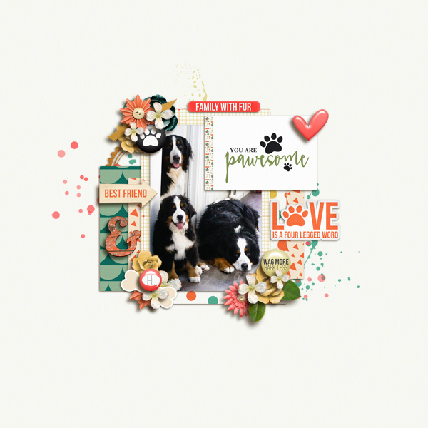 Furry Friends: Woof