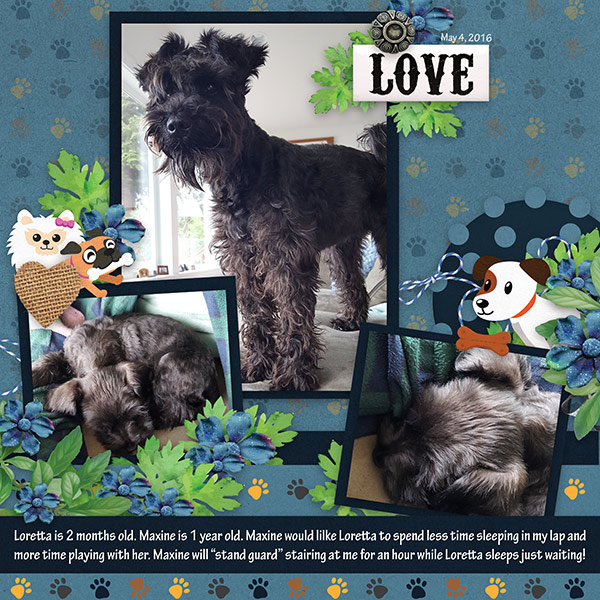 Furry Friends-Woof