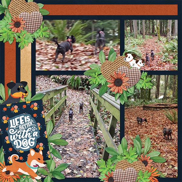 Furry Friends-Woof