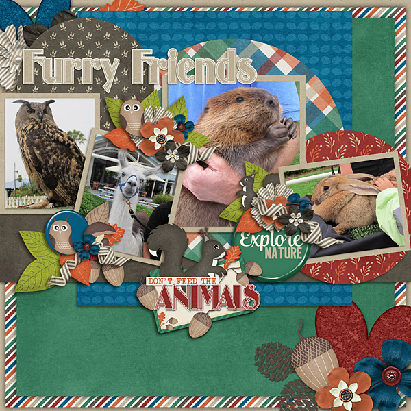 Furry Friends