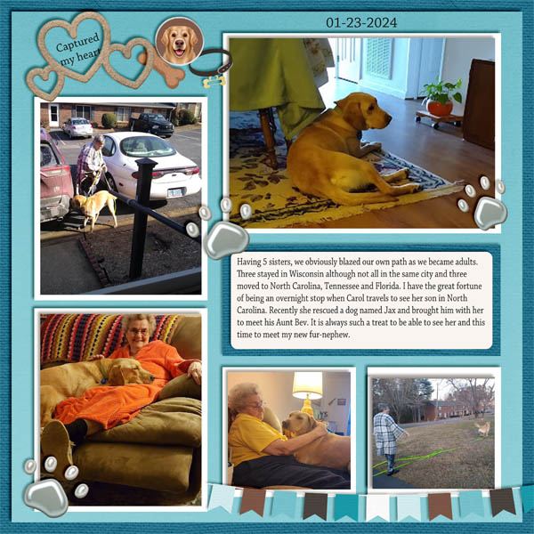furry nephew's visit