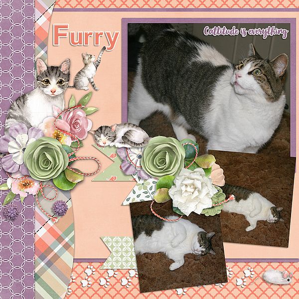 Furry