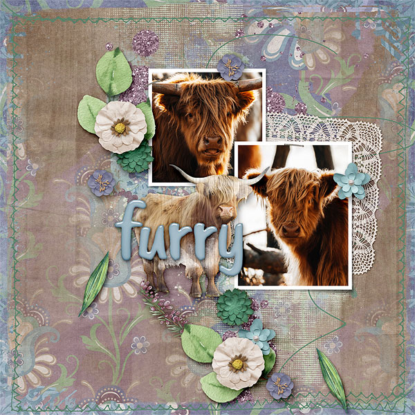 Furry