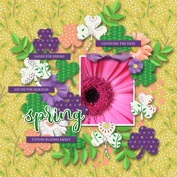 Future Blooms Await