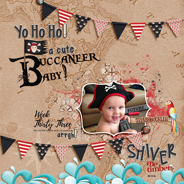 Future Swashbuckler