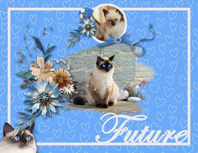 Future