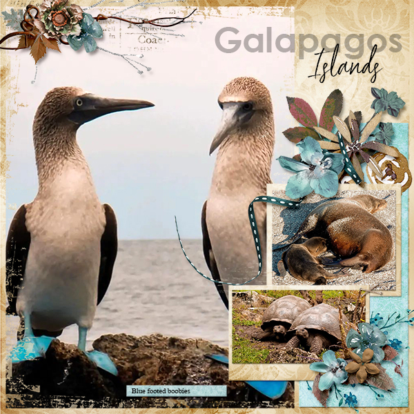 Galapagos Islands