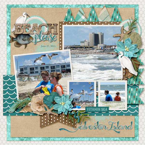 Galveston Island