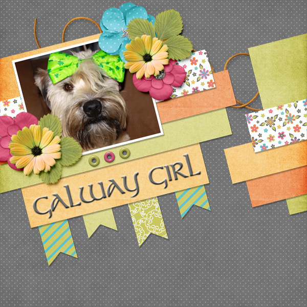 Galway_Girl_GS
