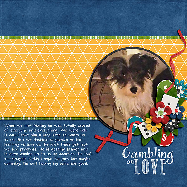 Gambling On Love