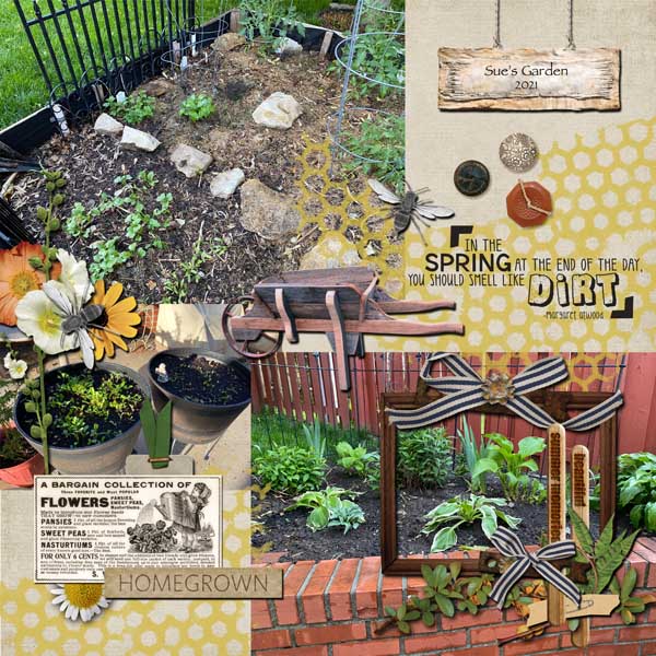 Garden 2021