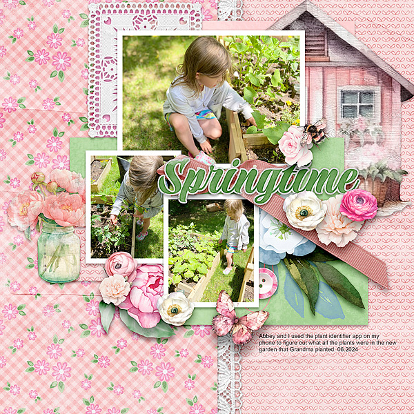 Garden 2024