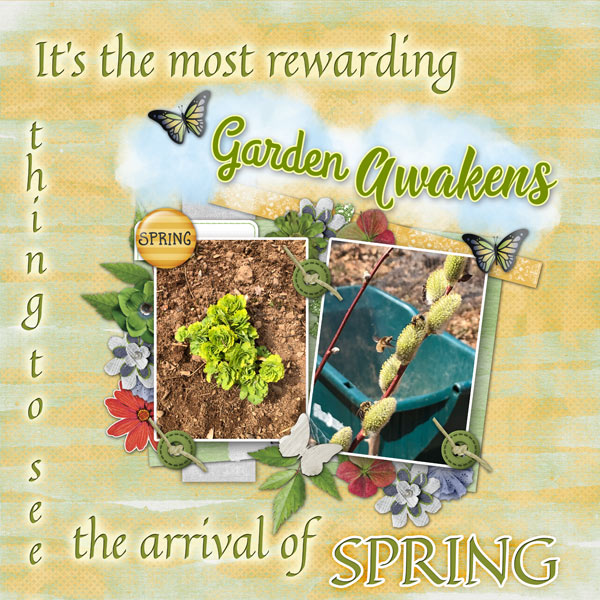 Garden Awakens