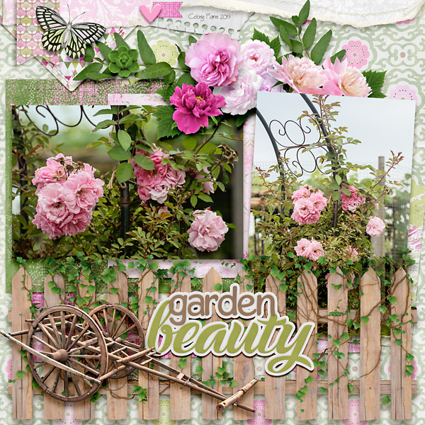 Garden Beauty