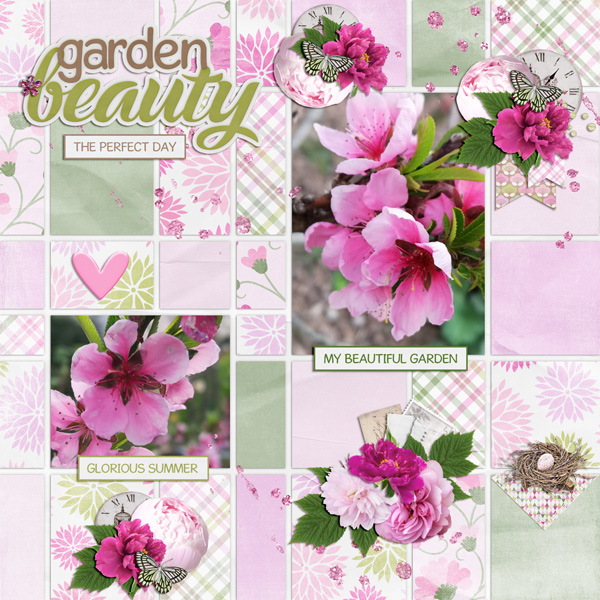 garden beauty