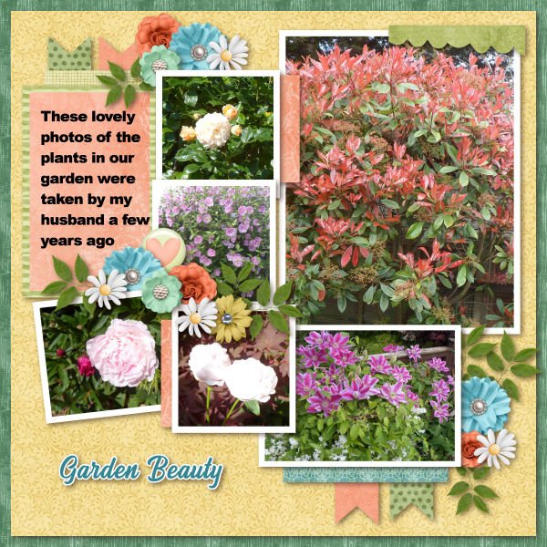 Garden Beauty