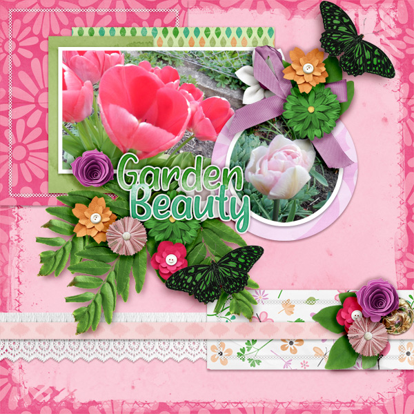 Garden-beauty1
