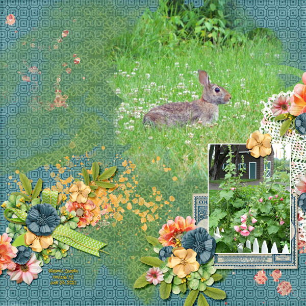 Garden Bunny