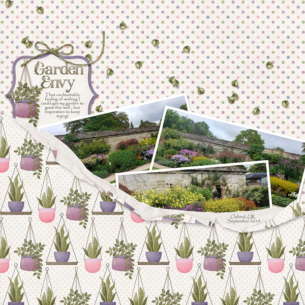 Garden Envy