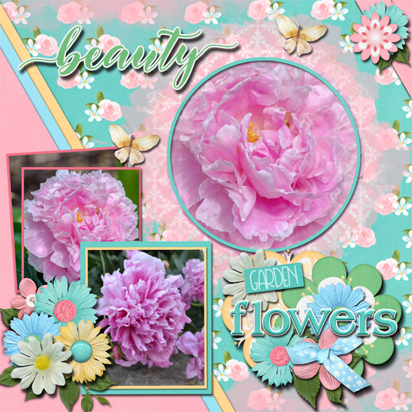 Garden Flowers