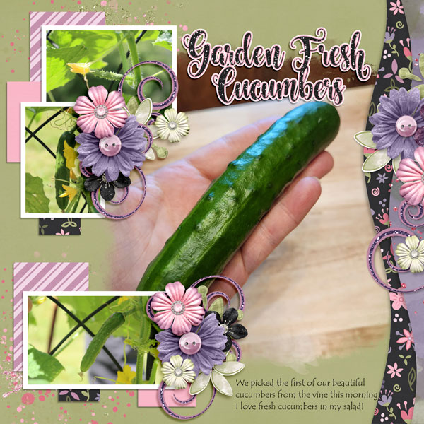 Garden Fresh Cucumbers