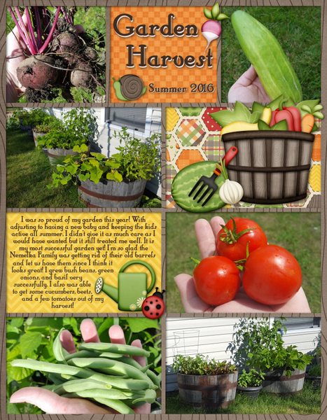 Garden Harvest