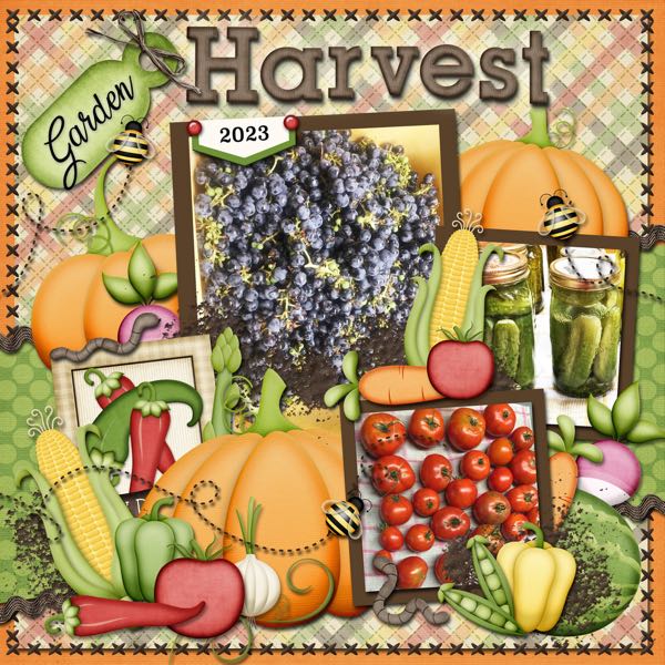 Garden Harvest