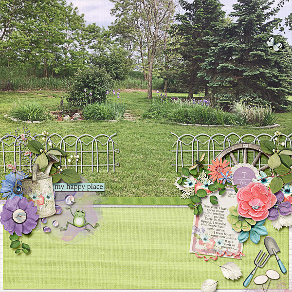 Garden in 2019