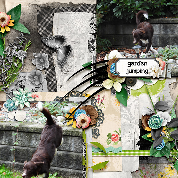 Garden Jumping