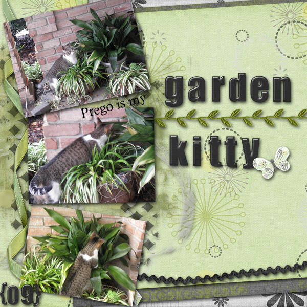 Garden Kitty