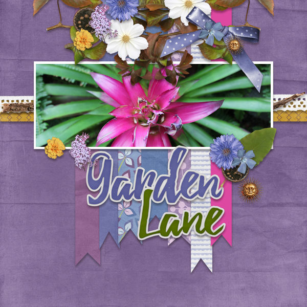 Garden Lane
