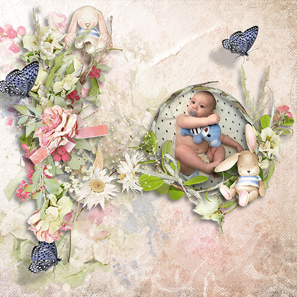 Garden Of Dreams