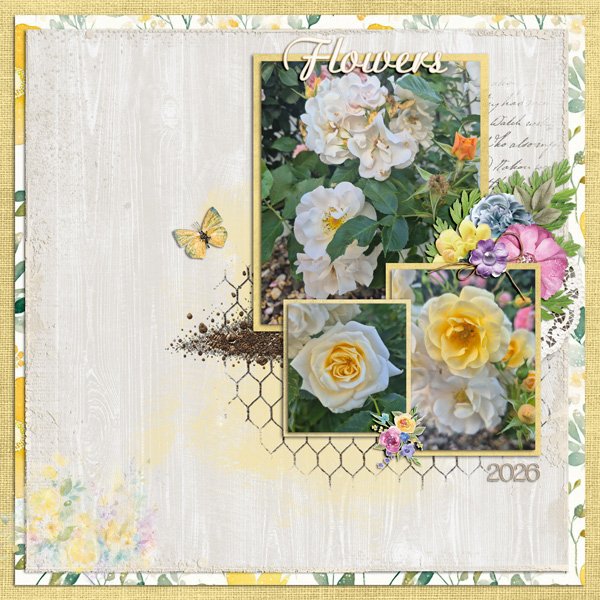 garden of roses