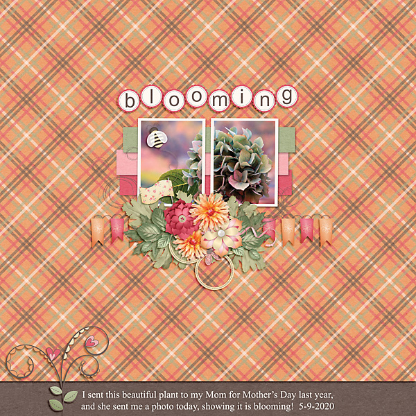 Garden Party 2