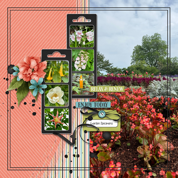 Garden Renewal