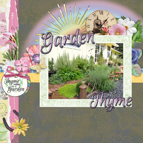 Garden Thyme
