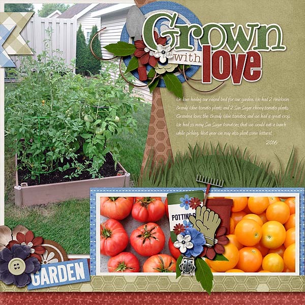 Garden Tomatoes