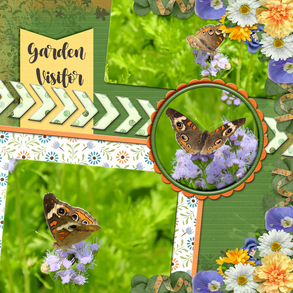 Garden Visitor