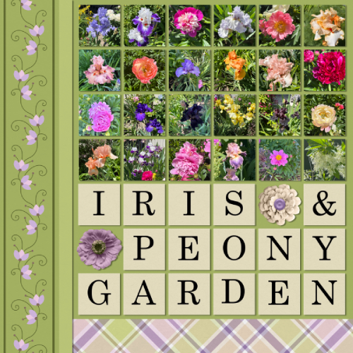 Garden Walk