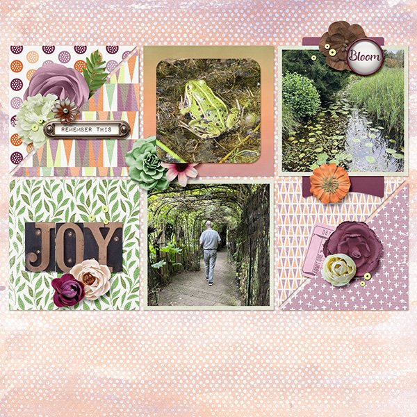 Garden walk