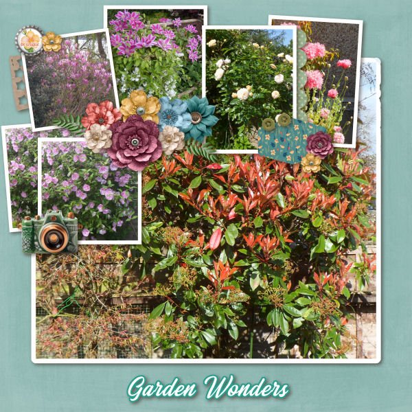 Garden Wonders