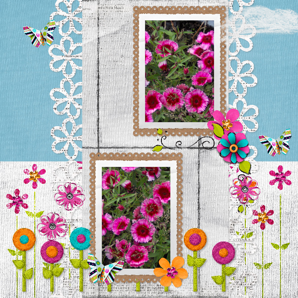 garden25