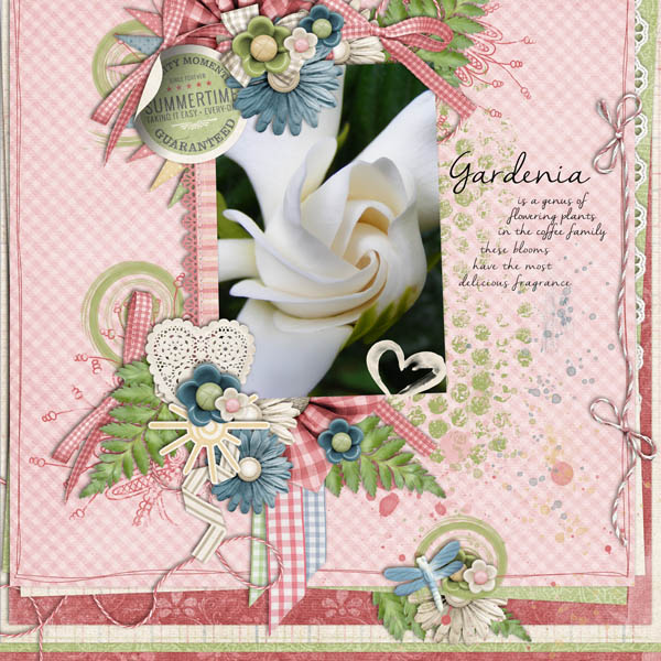 Gardenia
