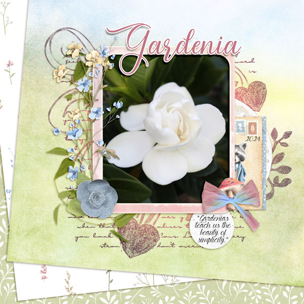 Gardenia
