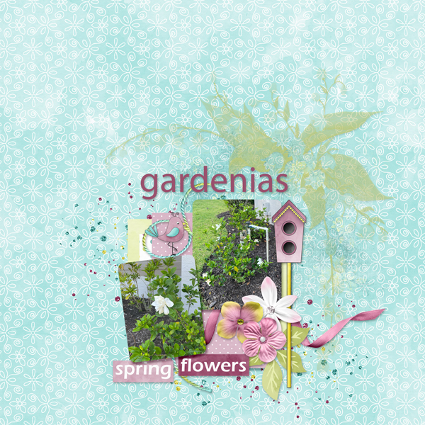 Gardenias
