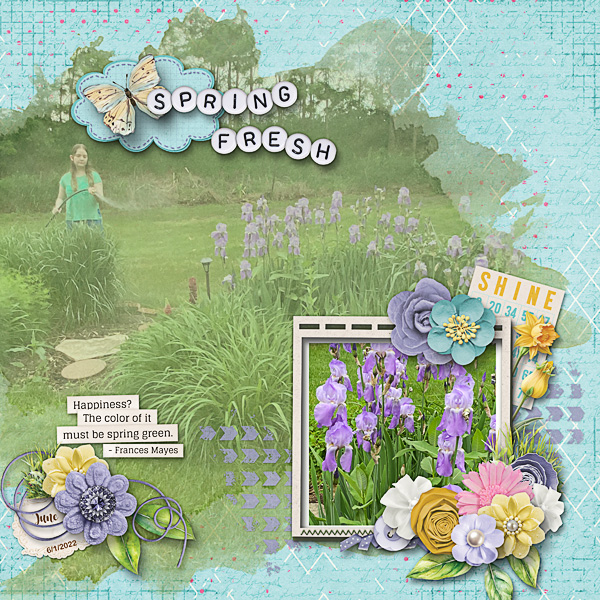 Gardening in June