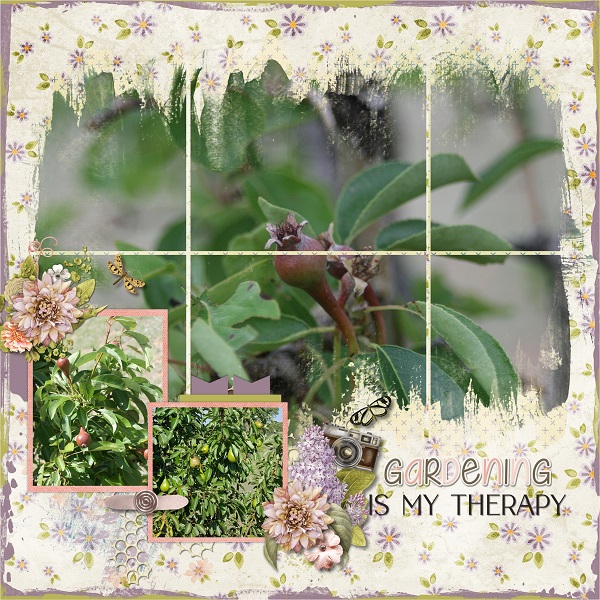 Gardening is my therapy