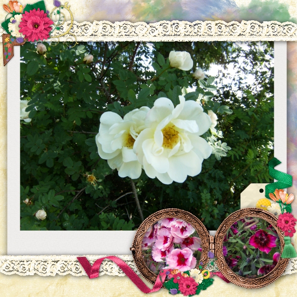 Gardening