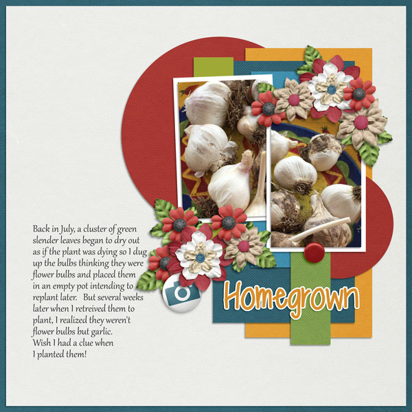 Garlic-Oct DDL challenge